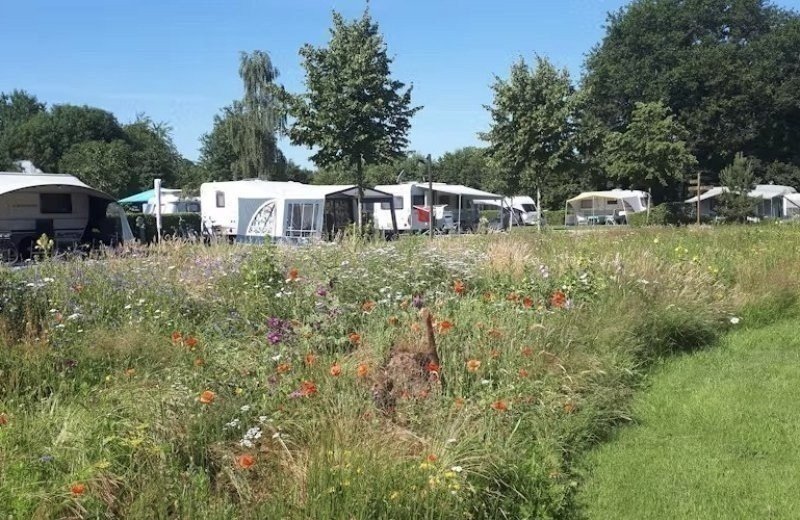 Het is tijd voor asperges!