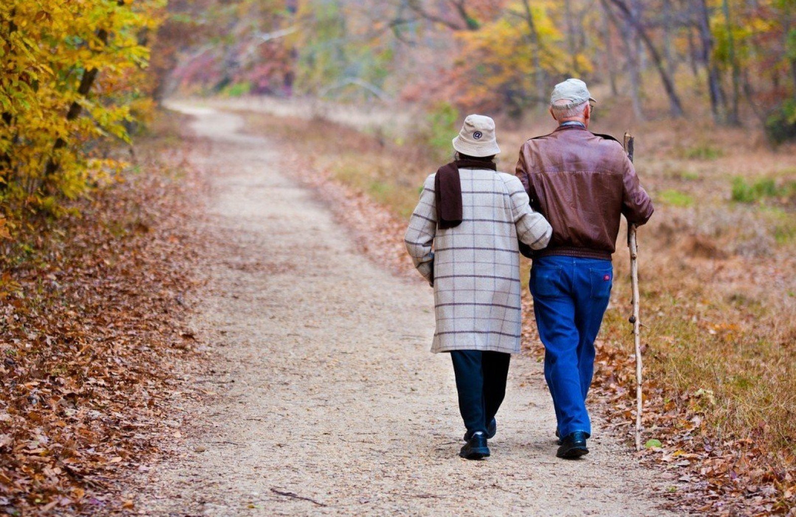 Brabants verwen- arrangement