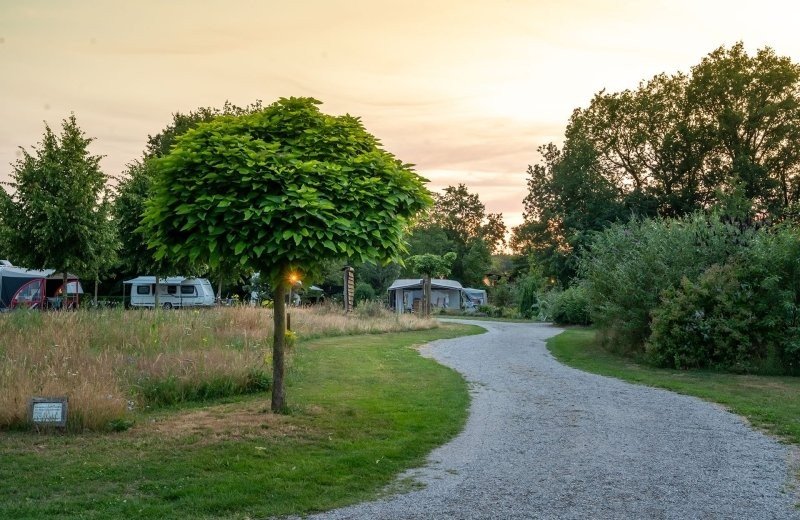 Herinnering: geen hondennetten toegestaan