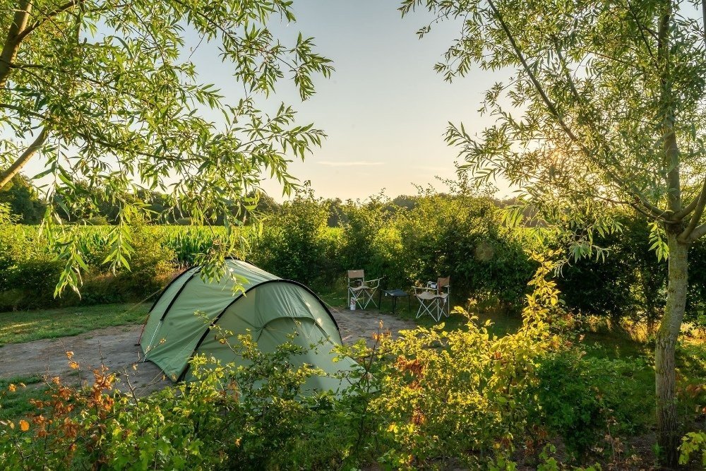 Groene camping Nederland zomervakantie