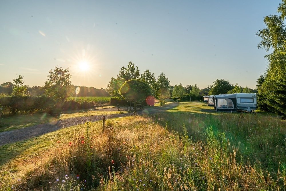 Natuurcamping Brabant