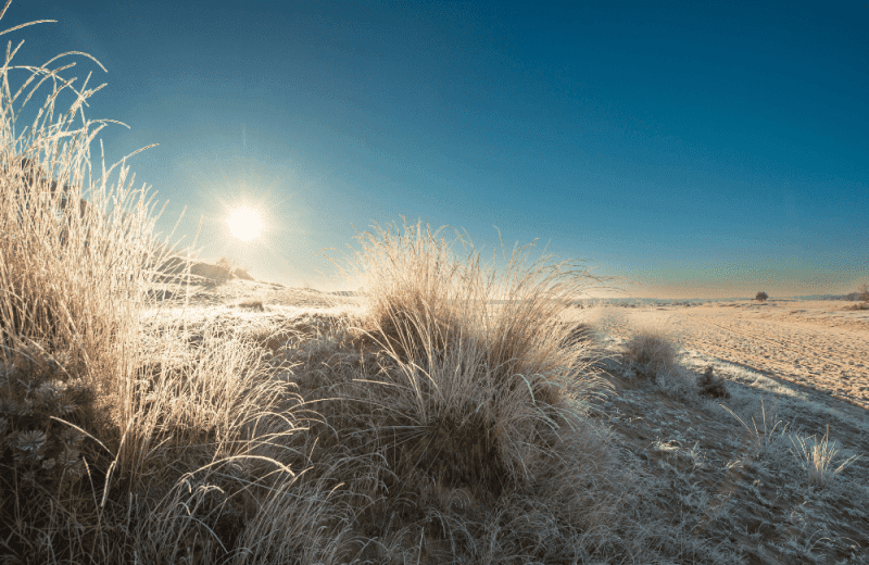 Ontwerp zonder titel 23