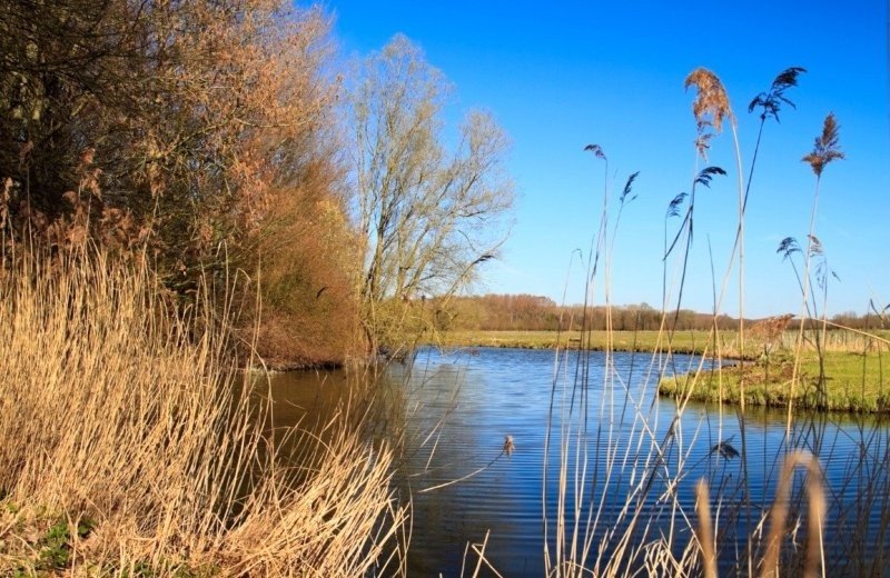 Rondvaart met de Zilvermeeuw