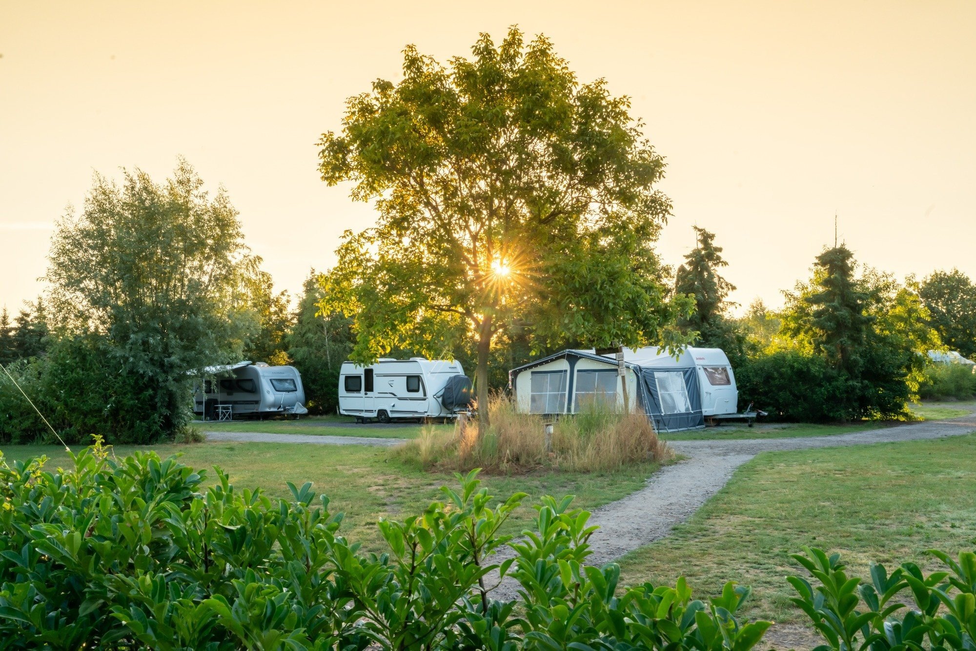 Seniorencamping in Brabant met groene kampeerplaatsen