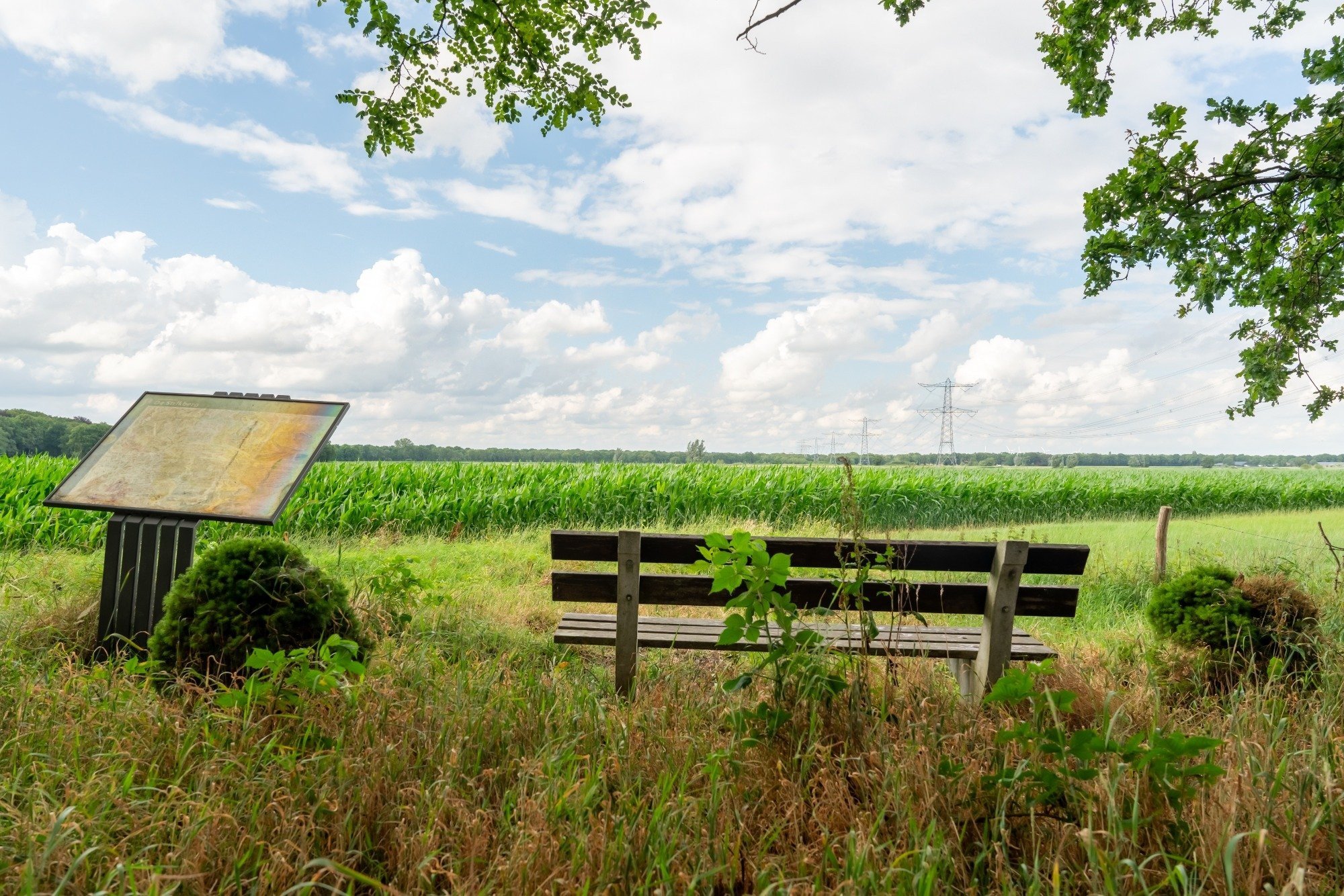 Diverse wandelroutes bij seniorencamping in brabant