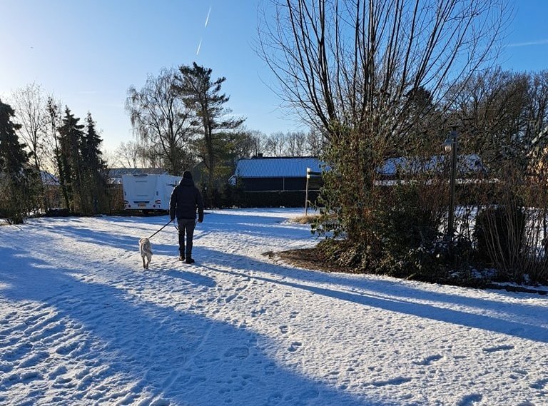 Wintercamping met hond